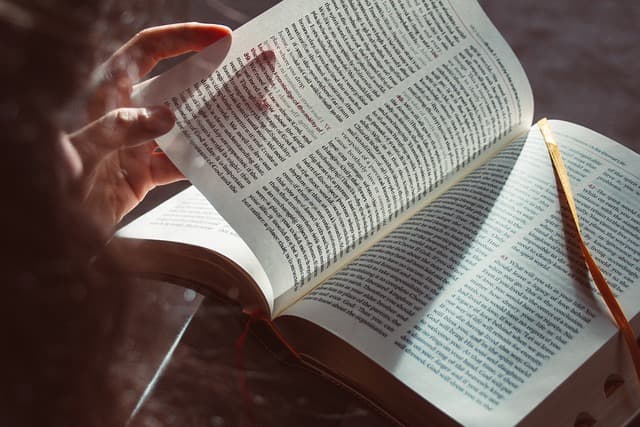 man reading a book