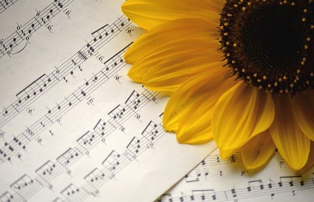 hymn sheet